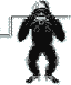 apecnt2.gif