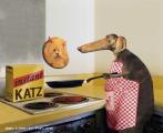 InstantKatz.jpg