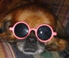 SunGlasses.jpg