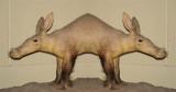 aardvark2.jpg