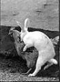Easter Eggs.jpg