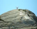 DSC00079.JPG