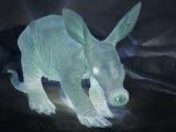 nuclear-aardvark.jpg