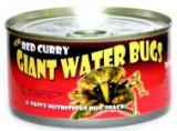 Water Bug.jpg
