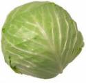 cabbage.jpg