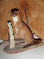 StoneStoat.jpg