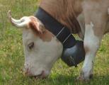 CowBell.jpg