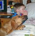 PrayingDog.jpg