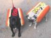 Hot Dogs.jpg