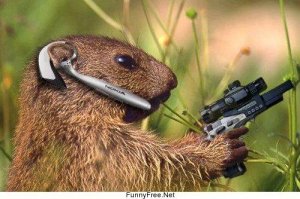 gophergun.jpg