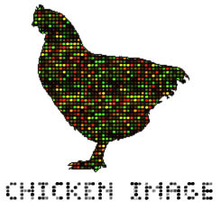 chicken image.jpg