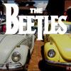 beetles.jpg