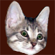 BEN_ICON.bmp
