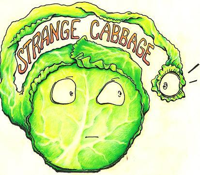 cabbage.JPG