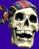 pirate skull blue.jpg