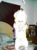 GO Lakers !!.jpg