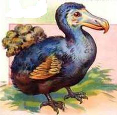 Dodo-Print-C10100937.jpg