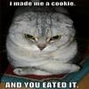 funny-pictures-maded-me-a-cookie_100x100.jpg