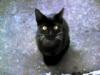 PHOT0323_edited.JPG