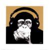 Headphone-Monkey.jpg