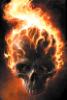 flaming skull.jpg