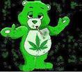 marijuana bear.jpeg