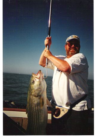 full sized STRIPER STUD.jpg