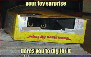 toy surprise.jpg