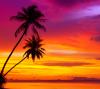 Palms_At_Sunset-wallpaper-9837202.jpg