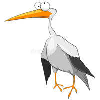 Storkman Profile Photo 200x 200.jpg