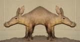 aardvark2.jpg