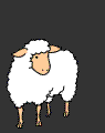 sheep_dancing_absurdly.gif sheep_dancing_absurdly.gif