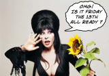 Elvira-omg.png