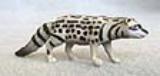 Cement-Civet-Cat.jpg