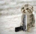 KittenGun.jpg