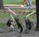 SquirrelJedi.jpg