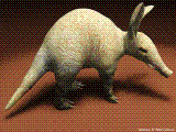 asphalt-aardvark-3.gif