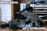donut-worry-we-iz-profesion.jpg
