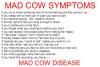 Mad Cow Symptoms.jpg